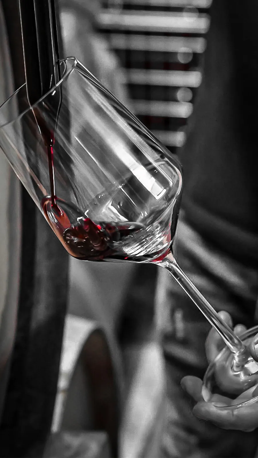 Winery photoshoot content creation social media management
